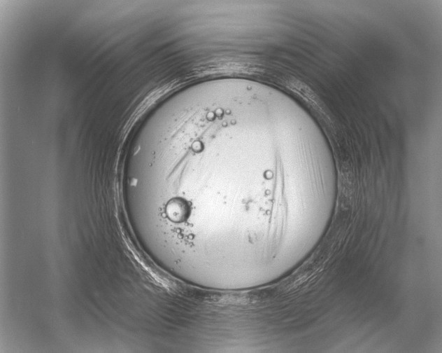 X0000052940890200508050853