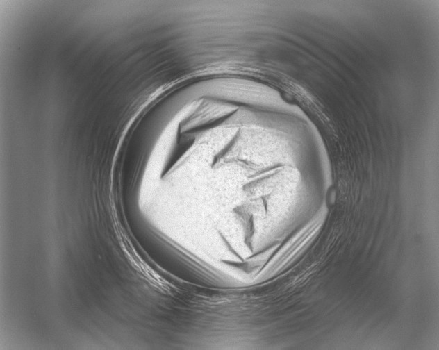 X0000052940892200508050853