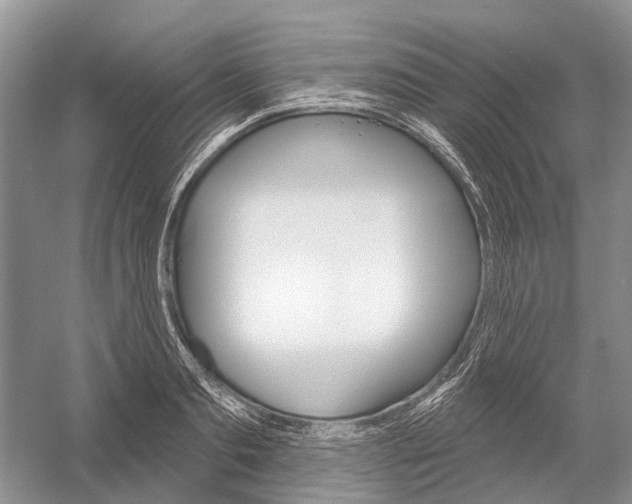 X0000052940893200508050853