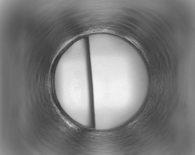 X0000052940894200508050853