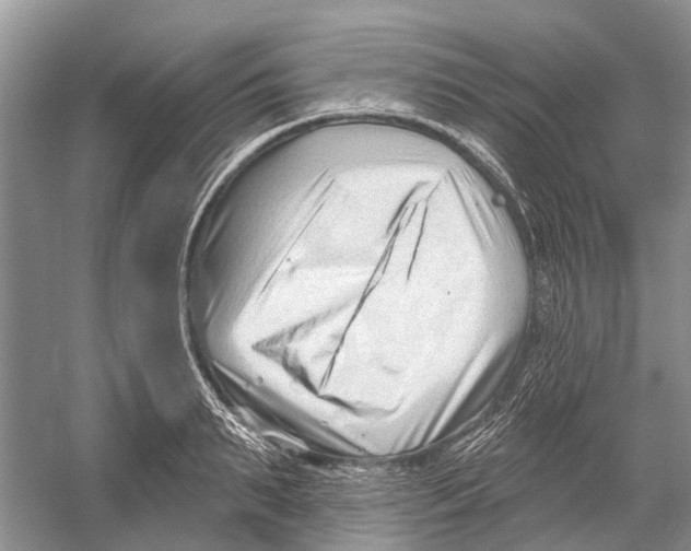 X0000052940895200508050852