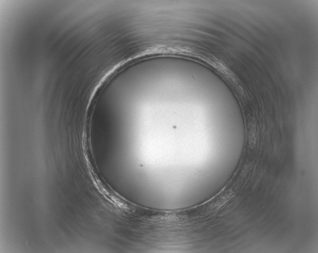 X0000052940896200508050852