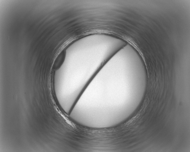 X0000052940898200508050852