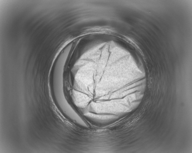 X0000052940899200508050852