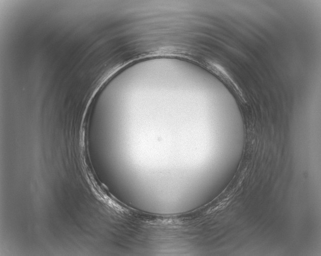 X0000052940900200508050852