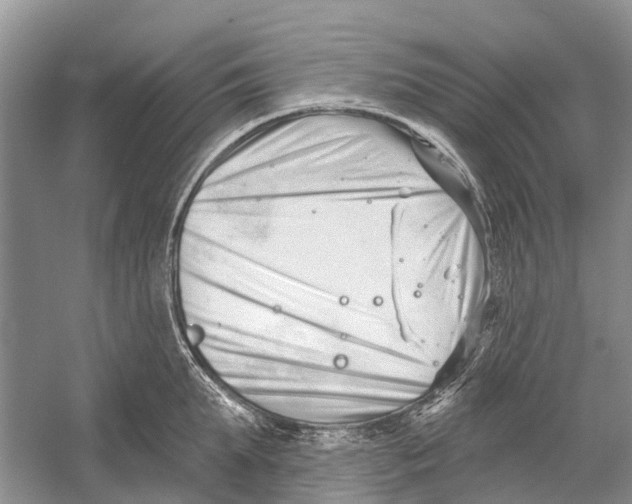 X0000052940903200508050852