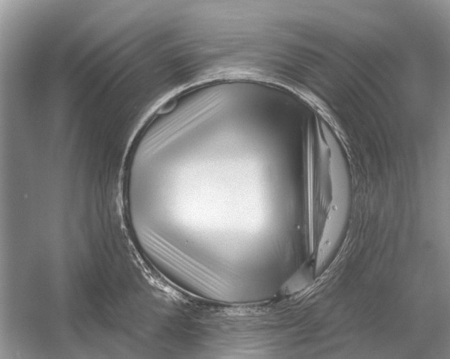 X0000052940904200508050852