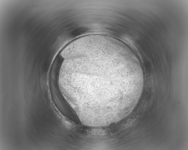 X0000052940907200508050852