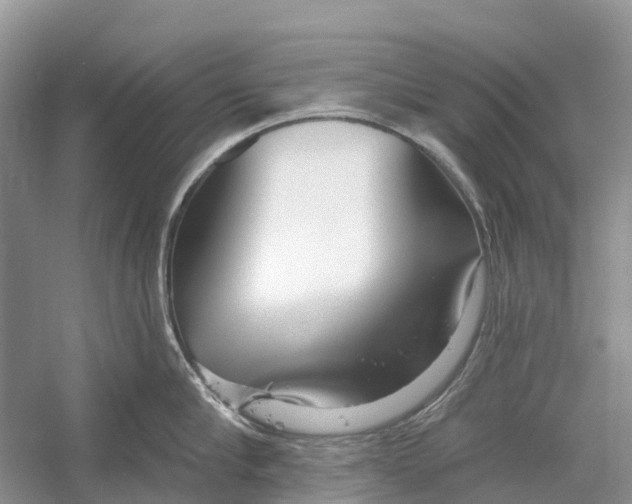 X0000052940910200508050852