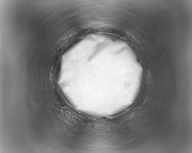 X0000052940917200508050851