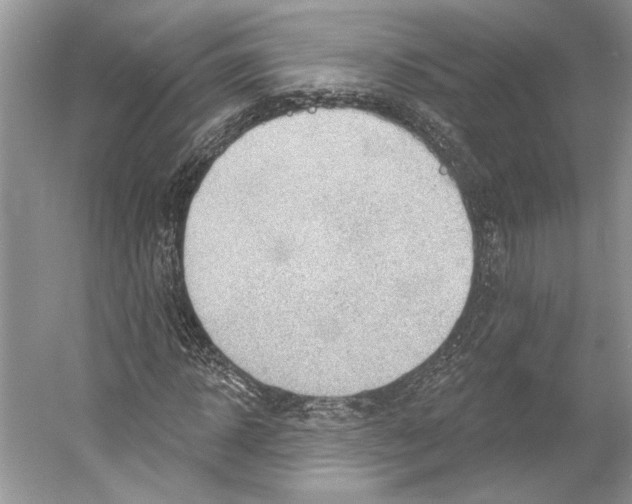 X0000052940918200508050851