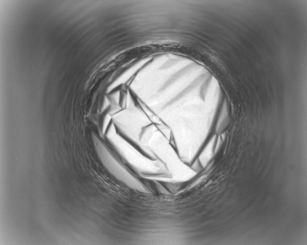 X0000052940920200508050852