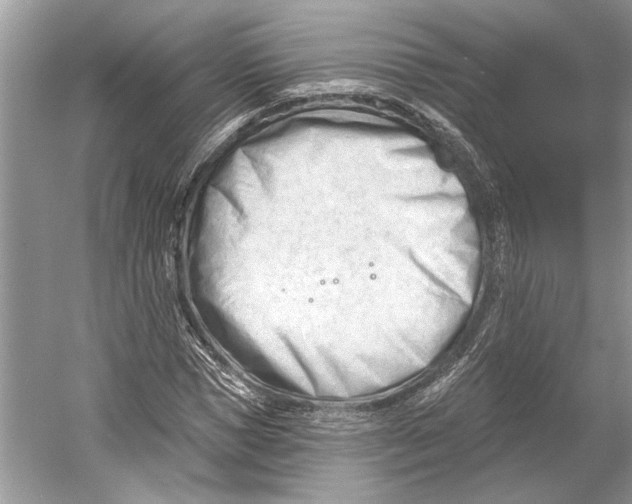 X0000052940921200508050852