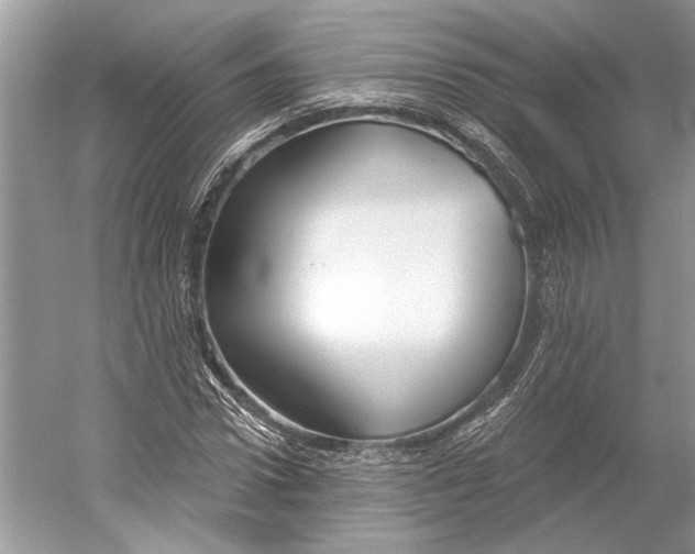 X0000052940922200508050852