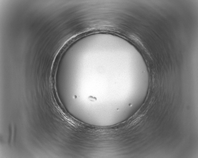 X0000052940924200508050852