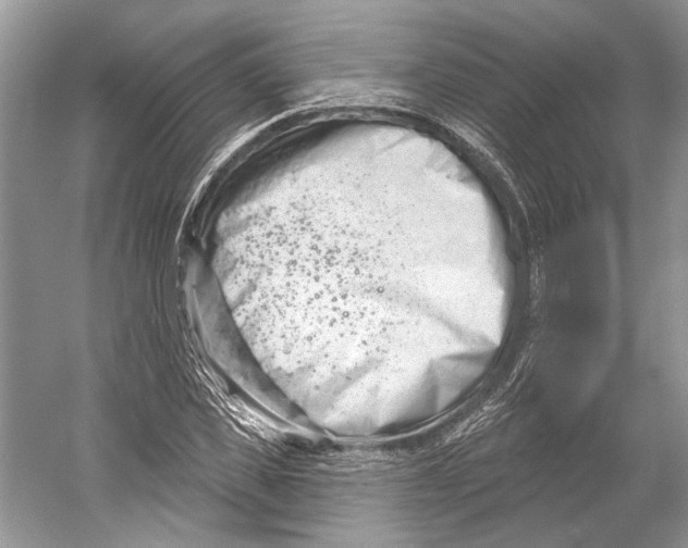 X0000052940925200508050852