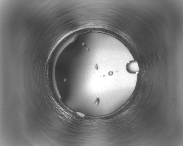 X0000052940926200508050852