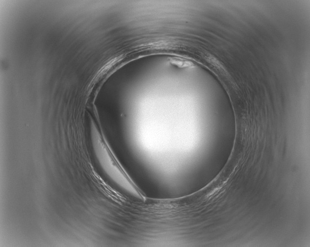 X0000052940930200508050852