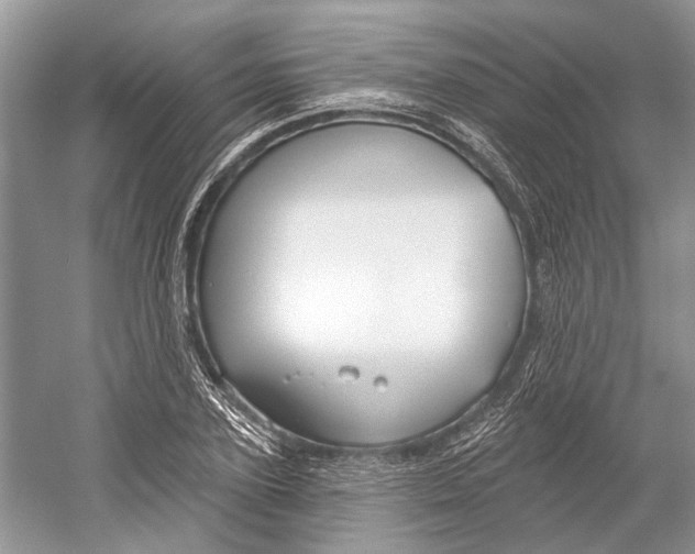 X0000052940931200508050852