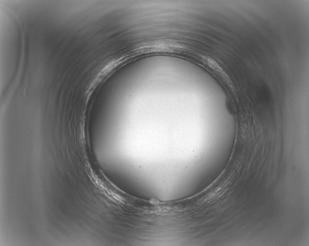 X0000052940938200508050852