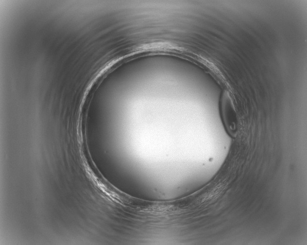 X0000052940939200508050852