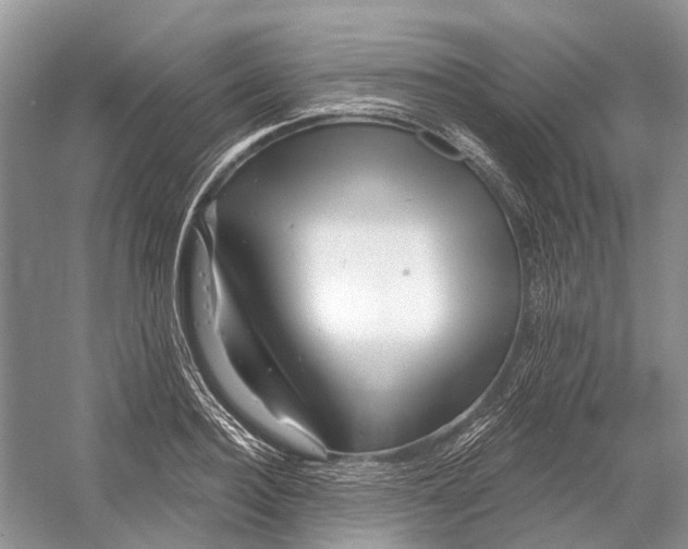 X0000052940940200508050852