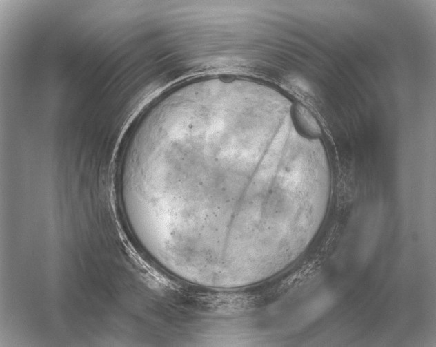 X0000052940941200508050852