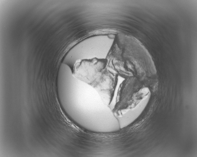 X0000052940945200508050852