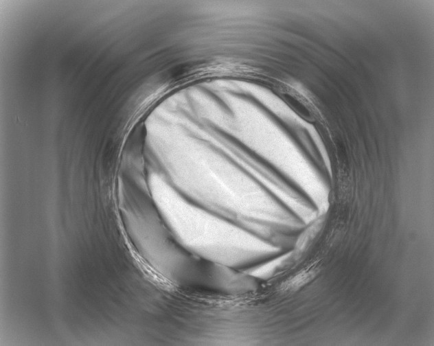 X0000052940946200508050852