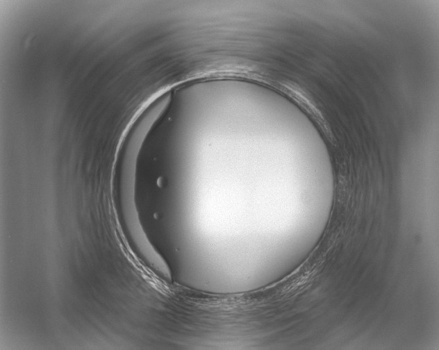 X0000052940948200508050852