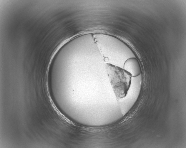 X0000052940949200508050852