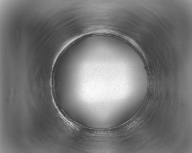 X0000052940951200508050852