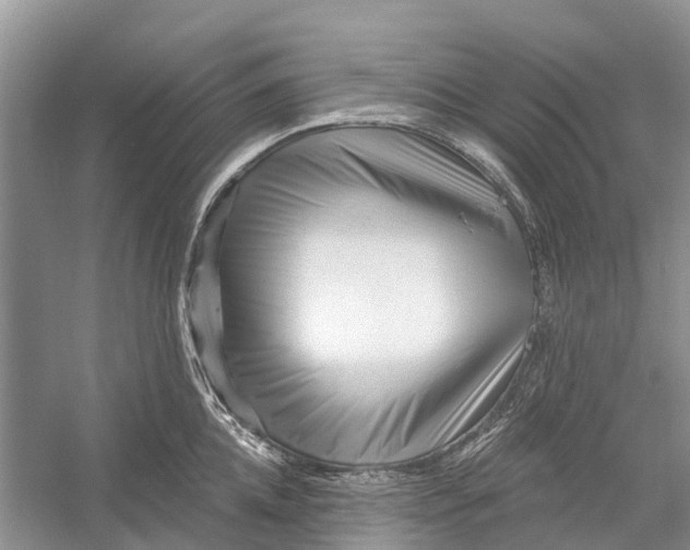 X0000052940952200508050852