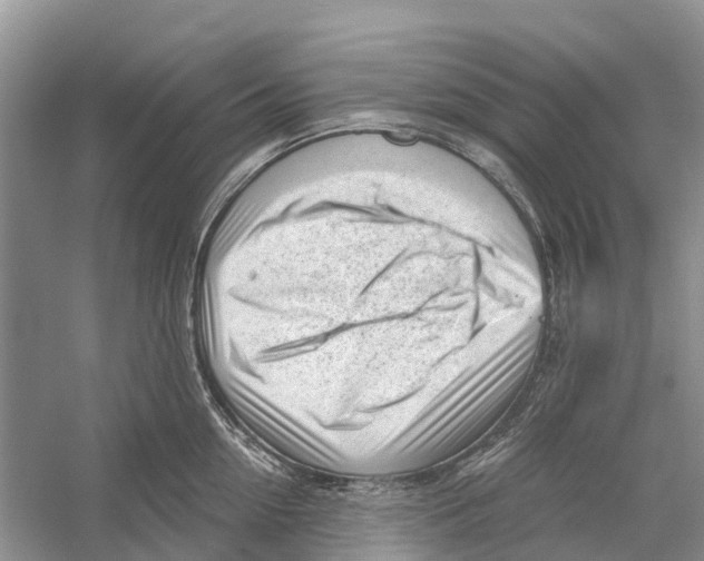 X0000052940954200508050852