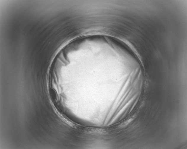 X0000052940957200508050852