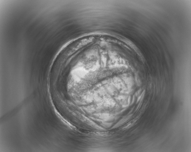 X0000052940958200508050852