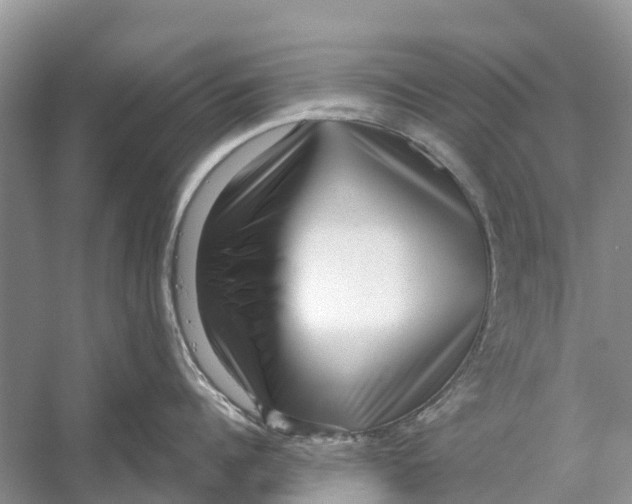 X0000052940960200508050852