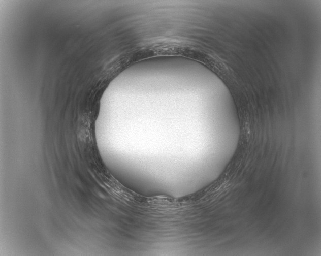 X0000052940964200508050851