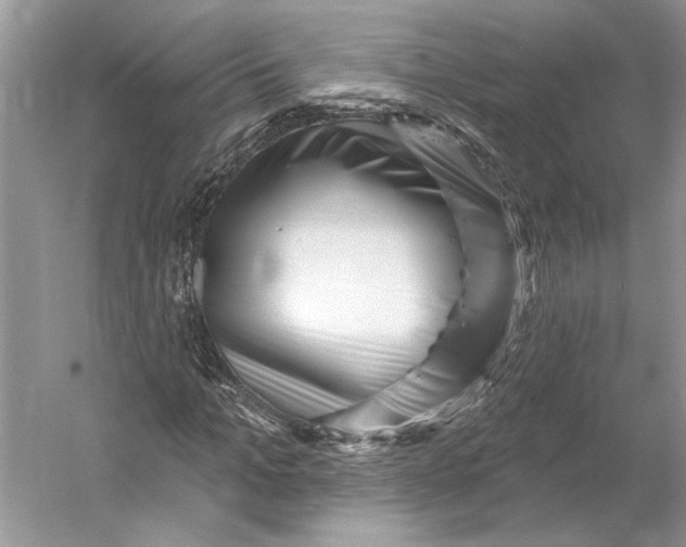 X0000052940965200508050851