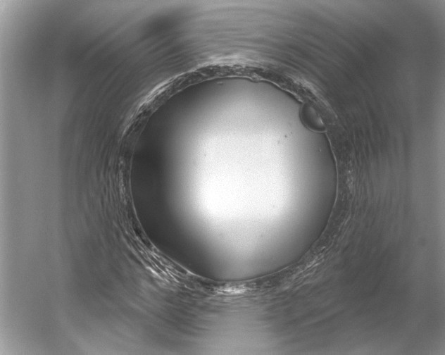 X0000052940968200508050851