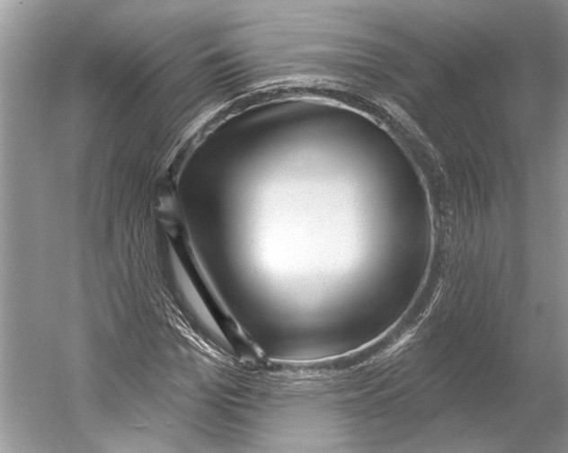 X0000052940969200508050851