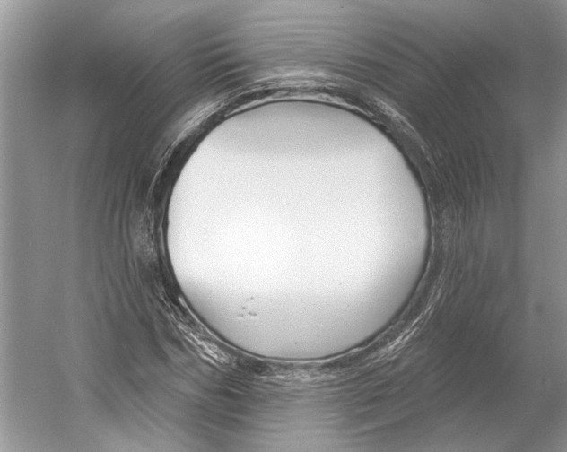 X0000052940970200508050851