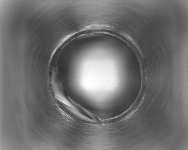 X0000052940973200508050851