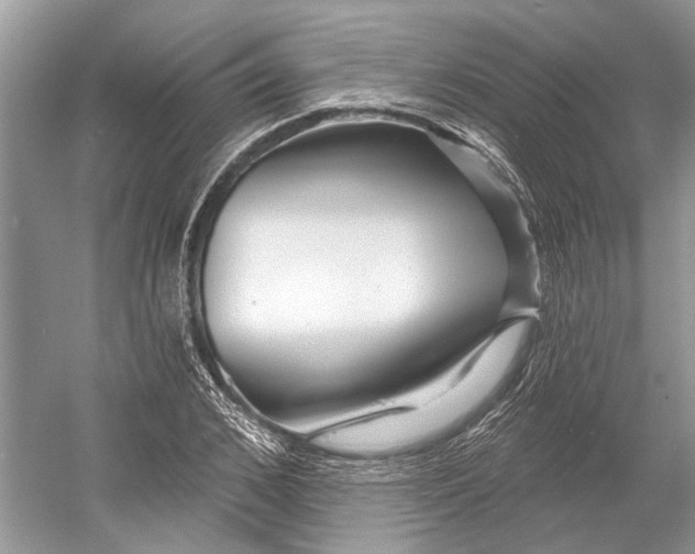 X0000052940976200508050851