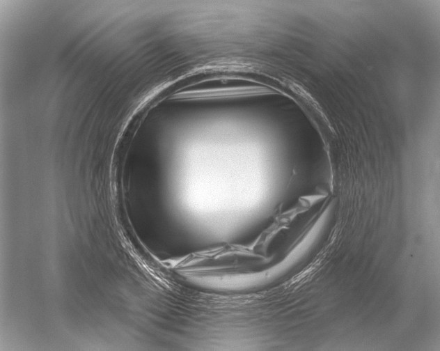 X0000052940981200508050851