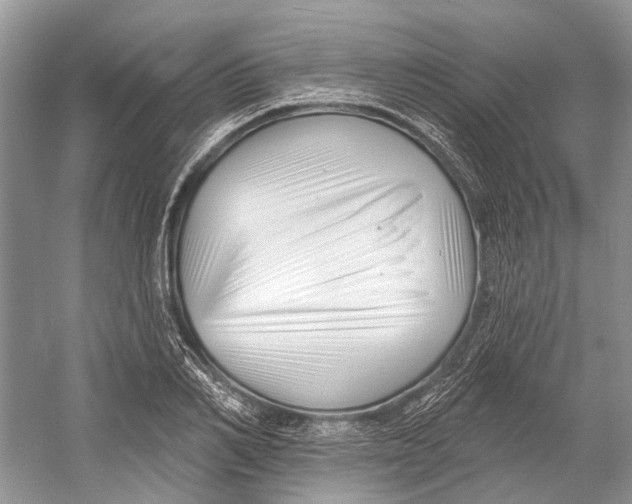 X0000052940982200508050851