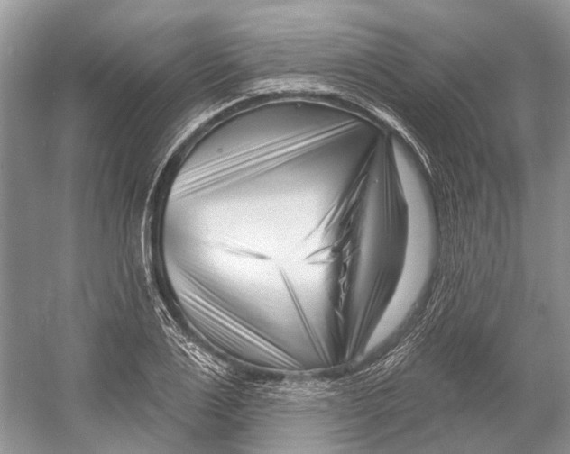 X0000052940983200508050851