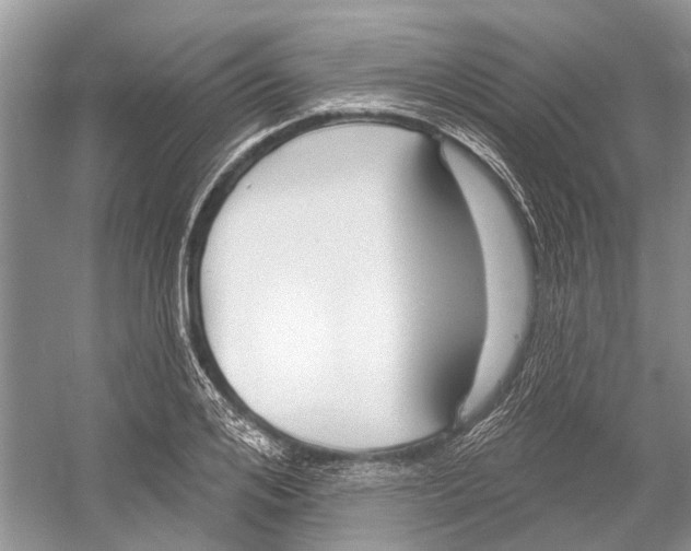 X0000052940984200508050851