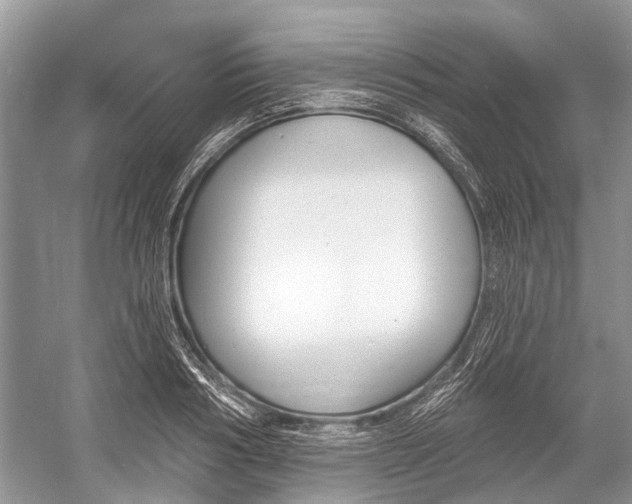 X0000052940986200508050851