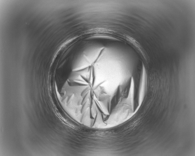 X0000052940987200508050851